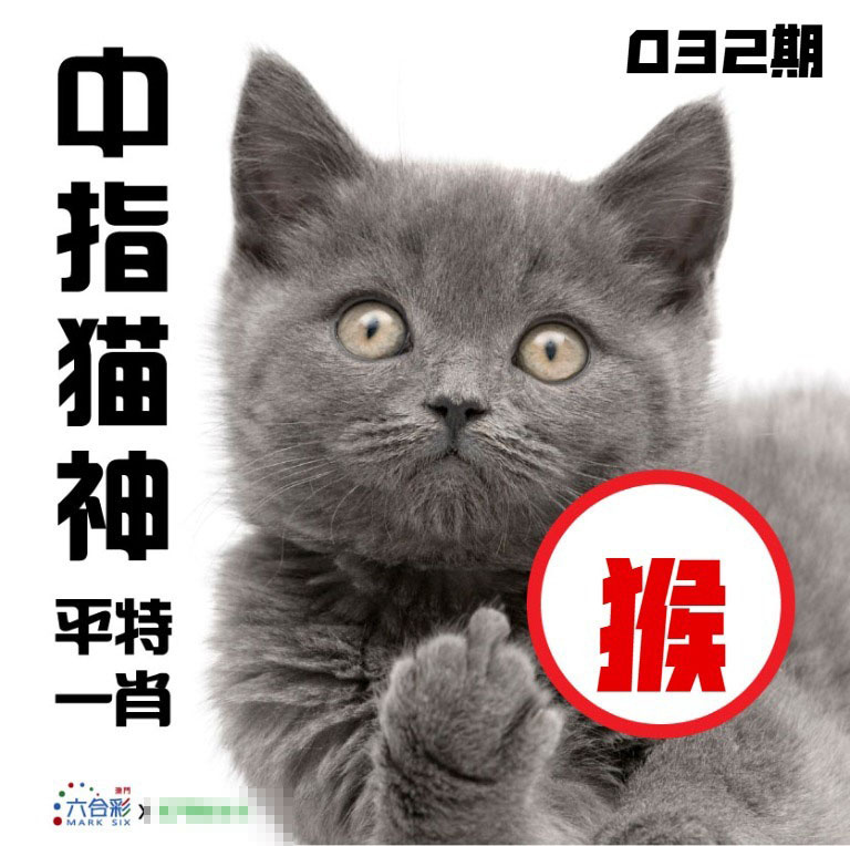 032期中指猫神[图]