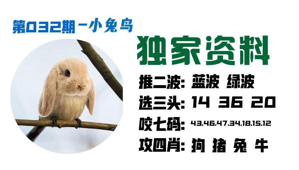 032期小兔鸟[图]